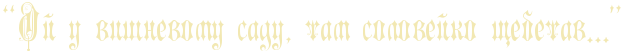 3943621_ (628x53, 8Kb)