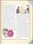  Page6 (525x700, 350Kb)