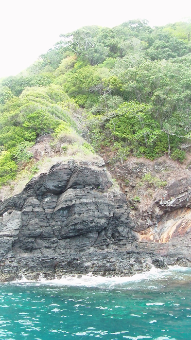 SAM_2188 (393x700, 395Kb)