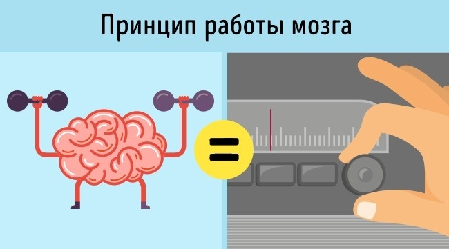 Мозг использует 10
