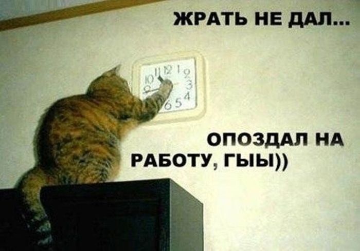 http://img1.liveinternet.ru/images/attach/d/0/136/69/136069561_a136980c8b.jpg