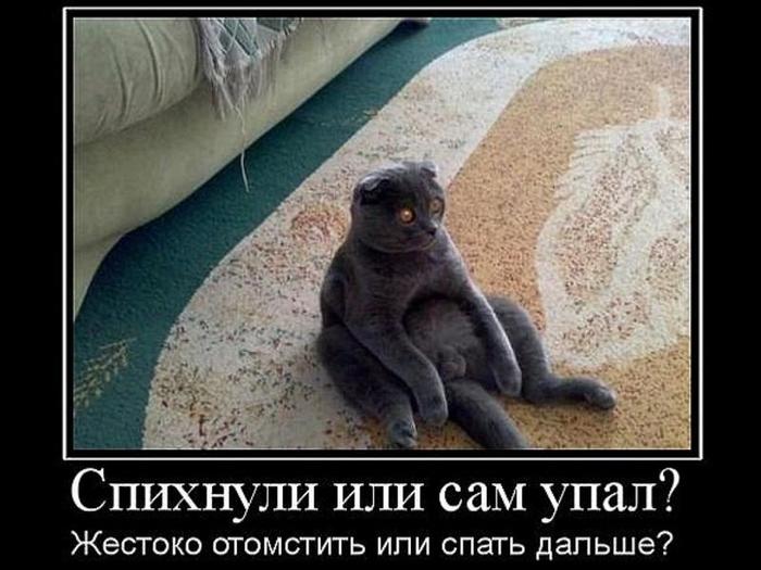 http://img1.liveinternet.ru/images/attach/d/0/136/69/136069687_20378447_a665d9d9c27d4aa1e3a874f7fbf6a8c1_800.jpg