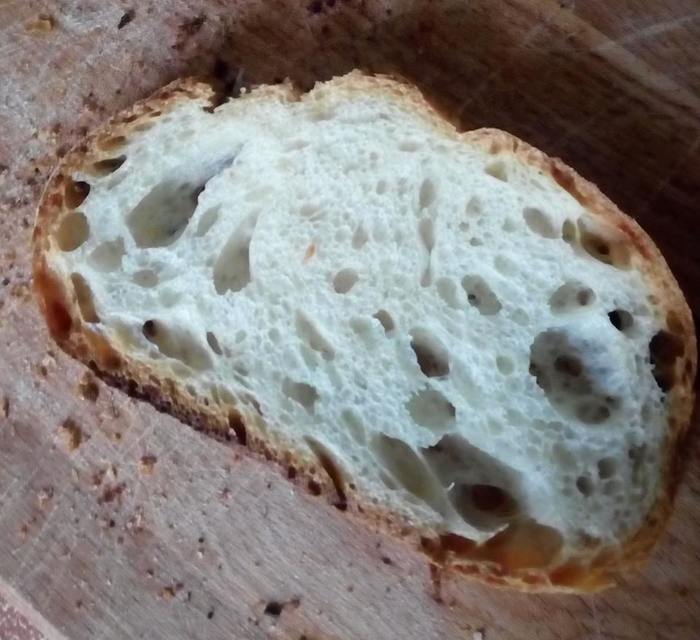 Хлеб пулиш рецепт. Хлеб пулиш. Опара для хлеба. Швейцарский хлеб. Хлеб в Швейцарии.