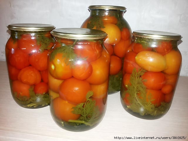 konservirovannye-pomidory-s-morkovnoj-botvoj-na-zimu4 (640x480, 130Kb)