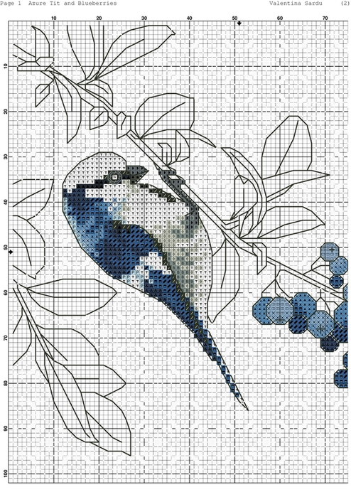 Azure Tit and Blueberries-001 (494x700, 343Kb)