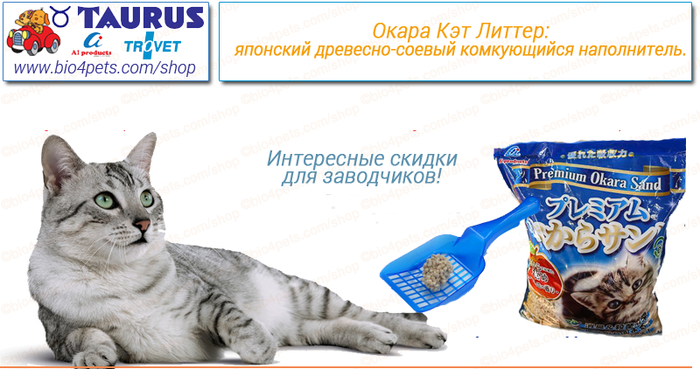 Litter перевод. Bio Cat наполнитель. Kitty Litter наполнитель комкующийся. Hitachi Okara наполнитель. CATLITTER наполнитель комкующийся Carbon Maxi 5л.