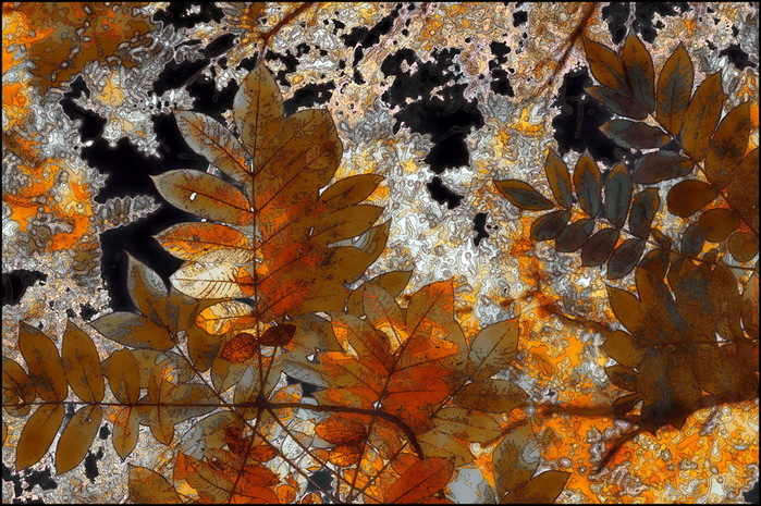 Park_III (700x465, 215Kb)