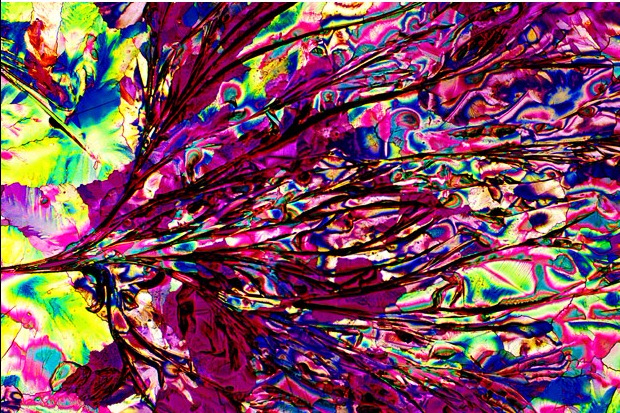 1 (620x413, 526Kb)
