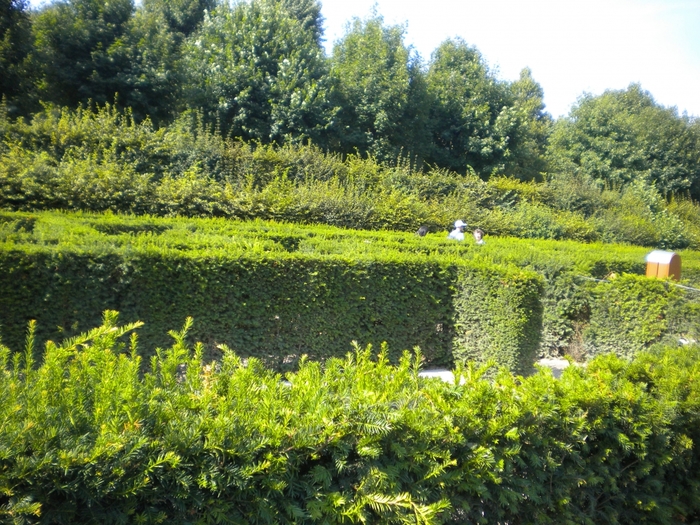 4752699_ve_757 (700x525, 385Kb)