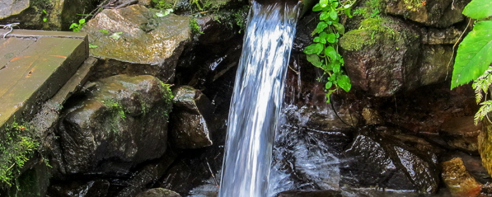 6098670_foto10_Istochnik_rodnik (700x280, 423Kb)