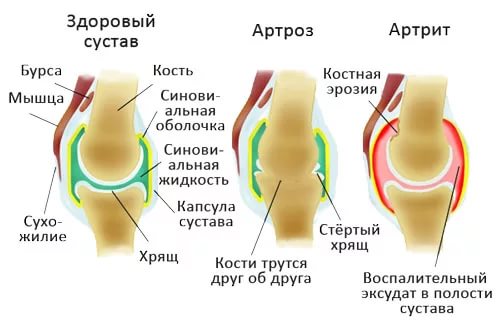 5177462_05i (500x326, 28Kb)