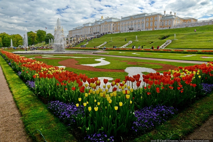 Peterhof.-Little-water.-Many-colors-00 (700x467, 323Kb)