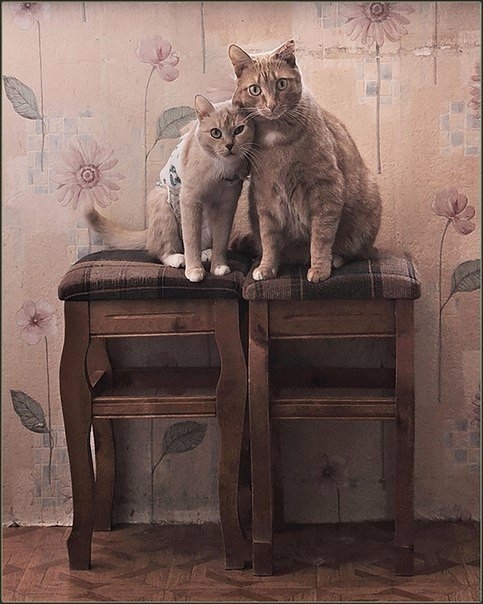 из архива (483x604, 175Kb)