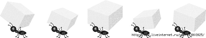 муравьи-нося-кубы-сахара-84758527 (700x131, 41Kb)