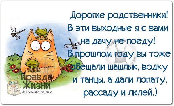 Картинки родственники прикольные