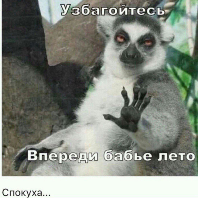 image (2) бабье лето (689x700, 415Kb)