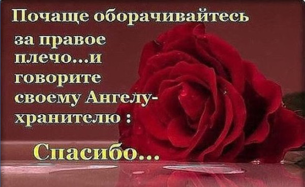 Жизнь любит не тех кто ноет по пустякам а тех кто по пустякам радуется картинки