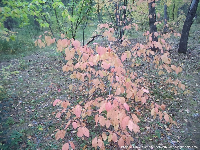 певица люся калгина биография. Смотреть фото певица люся калгина биография. Смотреть картинку певица люся калгина биография. Картинка про певица люся калгина биография. Фото певица люся калгина биография