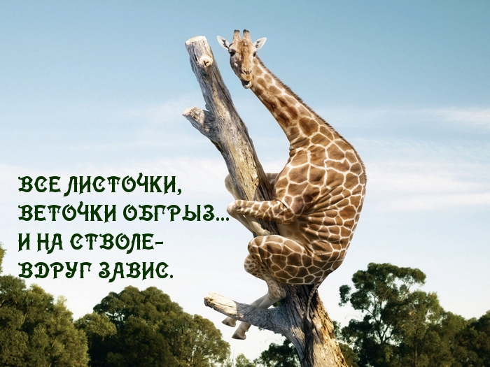 26395 ------------- (700x525, 289Kb)