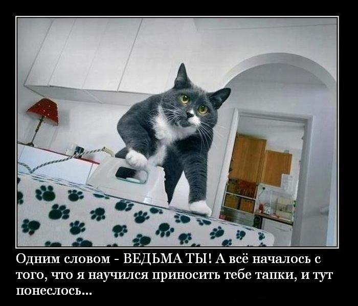 http://img1.liveinternet.ru/images/attach/d/0/137/298/137298437_BNFY2rWPoC8.jpg