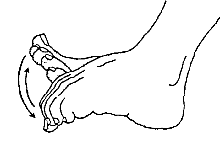 alt="Упражнения для суставов пальцев ног"/2835299_YPRAJNENIYa_DLYa_PALCEV_NOG2 (700x462, 26Kb)