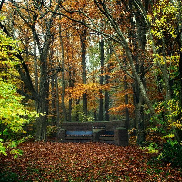 Oer-Wout8jpg (600x600, 698Kb)