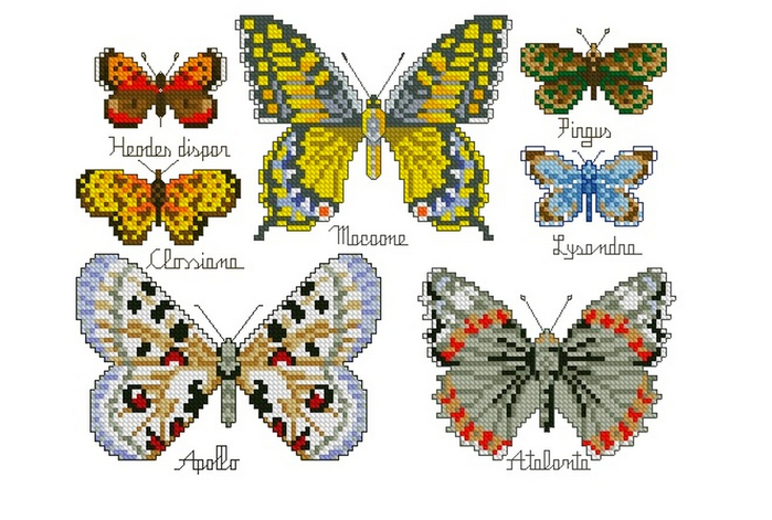 Панель с бабочками (700x471, 285Kb)