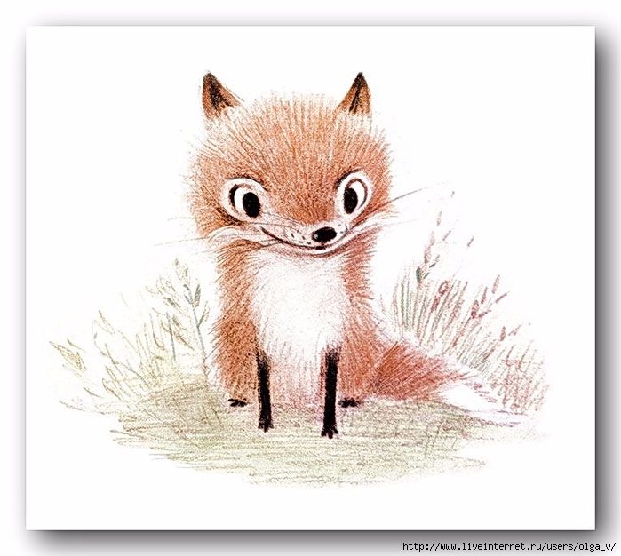 2ab77287654b1b67b4c6d89a321db884--cute-animal-illustration-animal-illustrations (700x626, 223Kb)