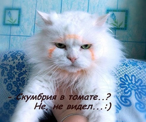 1494878_Q605 (492x413, 60Kb)
