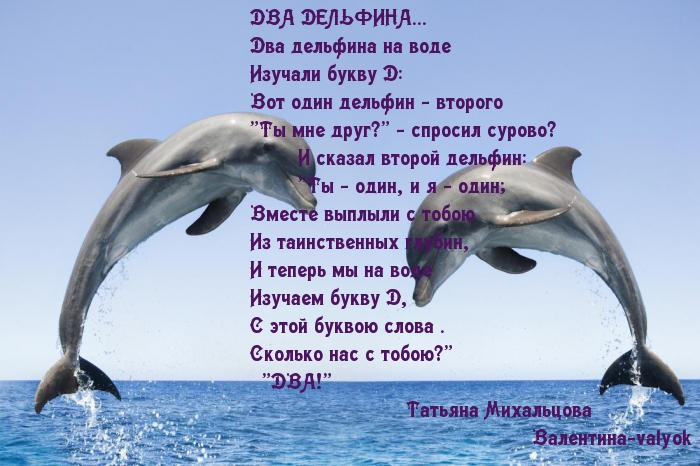 Загадка про дельфина. Стихи про дельфинов. Стихотворение про дельфина. Стихи про дельфинов для детей. Стих про дельфина.