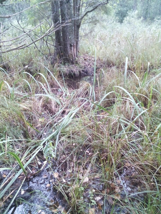 4213829_IMG_20170921_181946 (525x700, 372Kb)