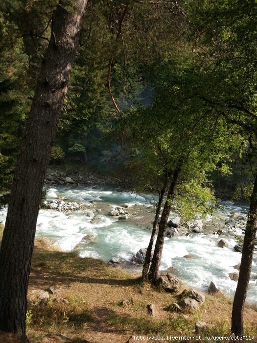 image9WUHKNZR (525x700, 295Kb)