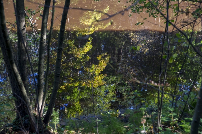 4213829__DSC8520 (700x465, 322Kb)