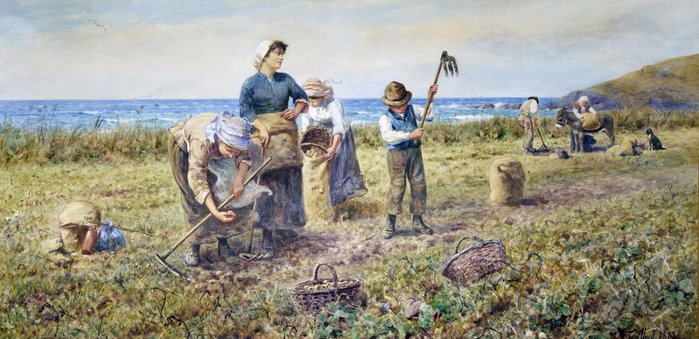 Thomas James Lloyd (1871-1910) - The Potato Harvest (1882) (700x339, 319Kb)