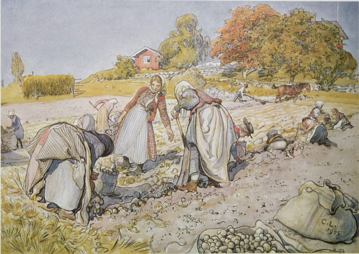Carl Larsson - Digging Potatoes (1905) (700x494, 750Kb)