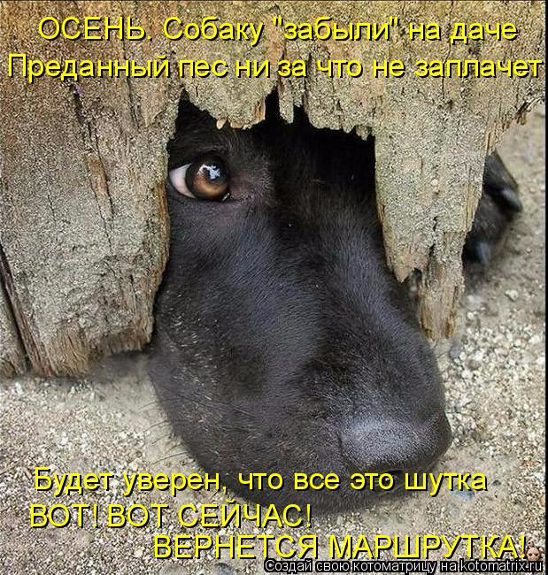 http://img1.liveinternet.ru/images/attach/d/0/137/565/137565169_523740.jpg