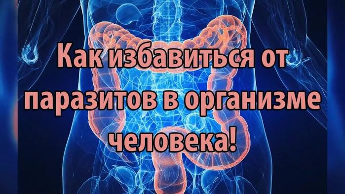 Наличие паразитов. Паразиты в организме человека. Паразиты в органах человека. Тело человека в глистах. Как избавиться от паразитов.