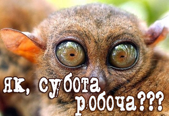 картинки приколы про работу в выходные перед