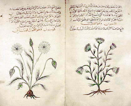 Arabic_herbal_medicine_guidebook (1) (418x340, 58Kb)