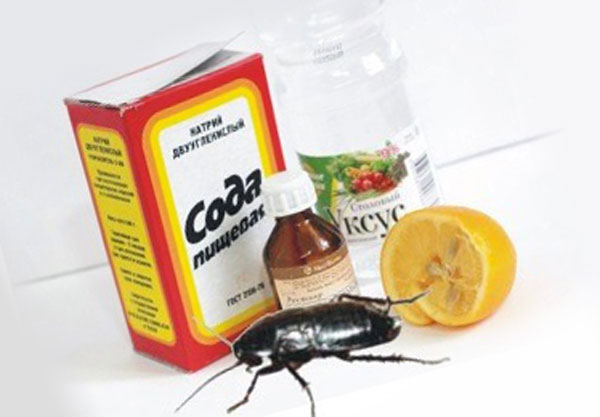 Какой отравой можно. Эффективная отрава от тараканов. Эффективное средство от тараканов в квартире. Лекарство против тараканов. Отличное средство от тараканов.
