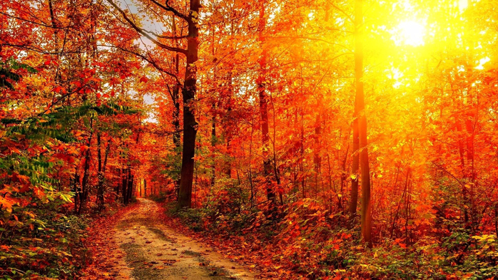 Autumn-Sunshine-Wallpapers (700x393, 524Kb)