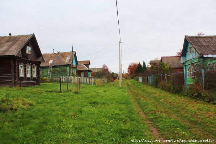 Фото улицы в деревне