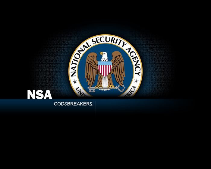 Security_nsa_government-oIHK (700x560, 171Kb)
