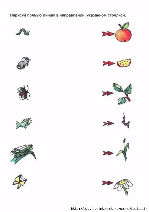 razvitie_i_korrekciya_grafomotornyh_navykov_u_detey_5_7_l_ch.page24 (493x700, 73Kb)