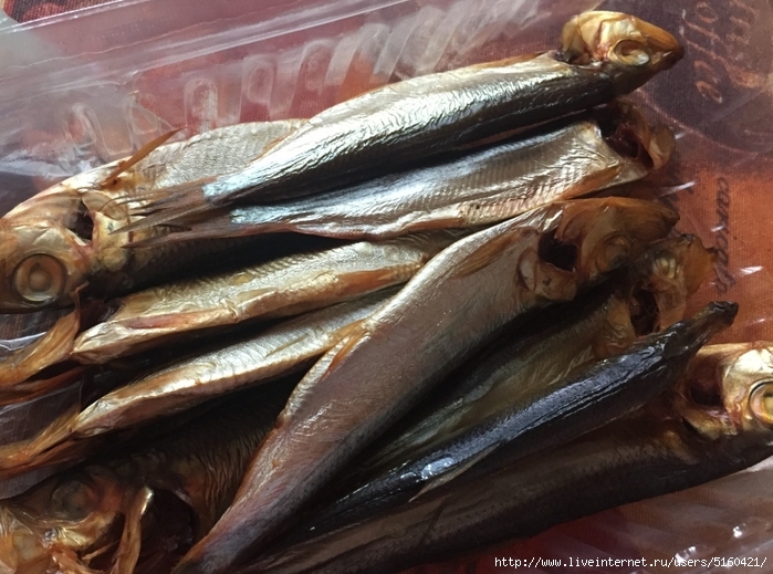 5160421_IMG_8997 (700x519, 293Kb)