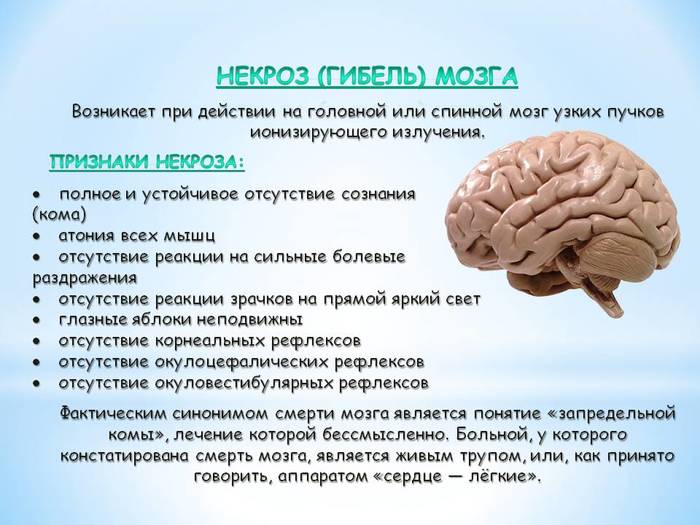 Мозг терапия инструкция
