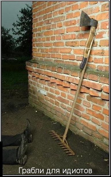    (385x612, 107Kb)