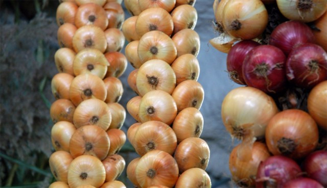 original-223 (640x369, 224Kb)