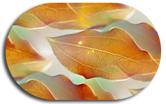 listya_svet_prozhilki_fon_prev (240x150, 60Kb)