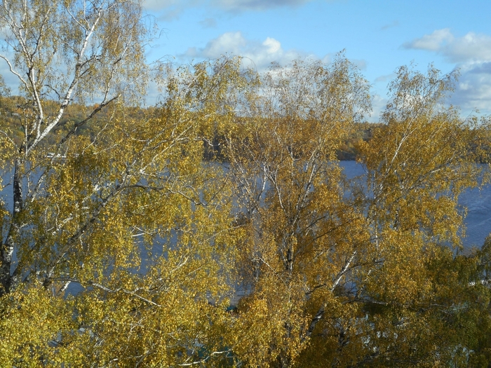 4878453_ples_1058 (700x525, 382Kb)